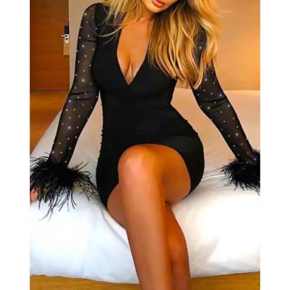 HP 🤩Women’s Glitter/Mesh/Feather sleeve Party Dress XS - Picture 1 of 5